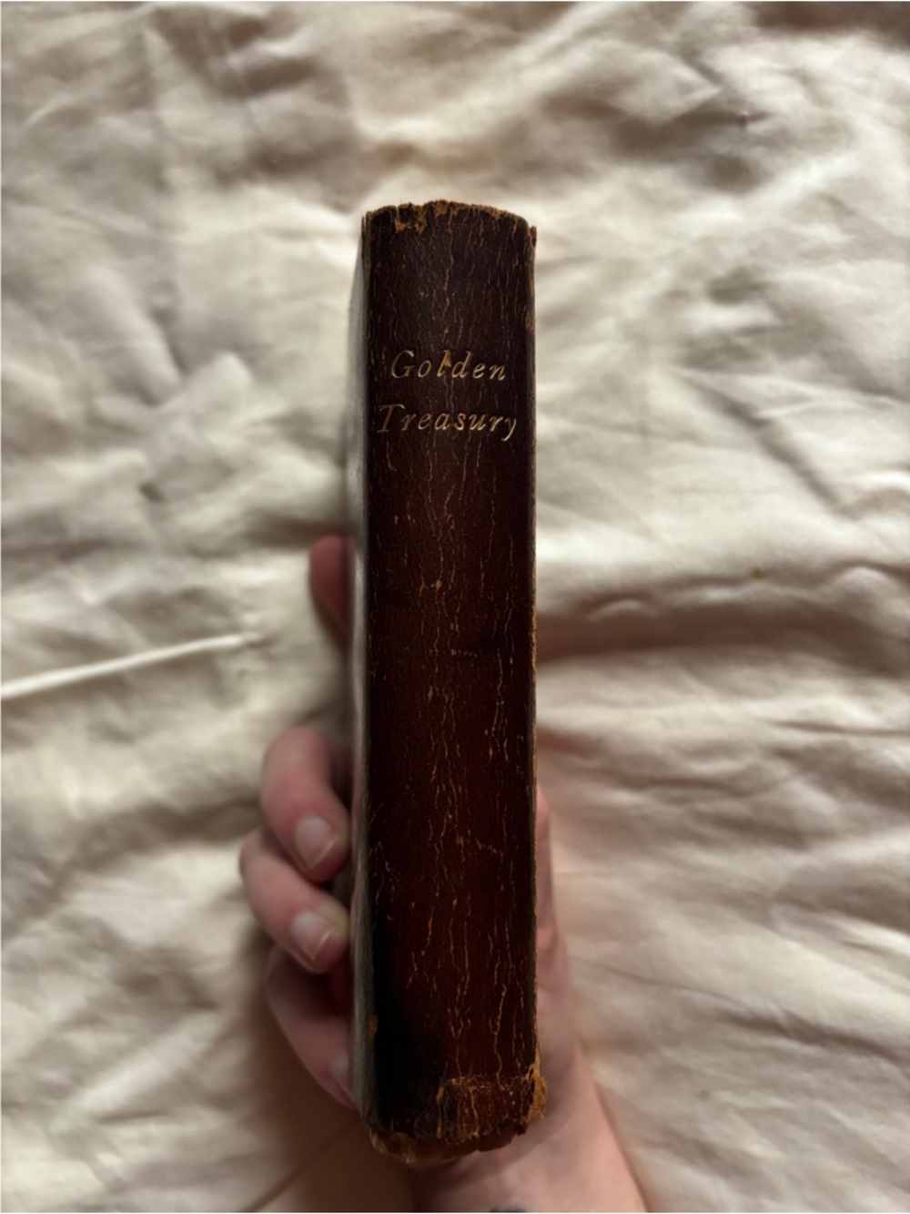 Golden Treasury of Assorted Poetry, Copyright 1893